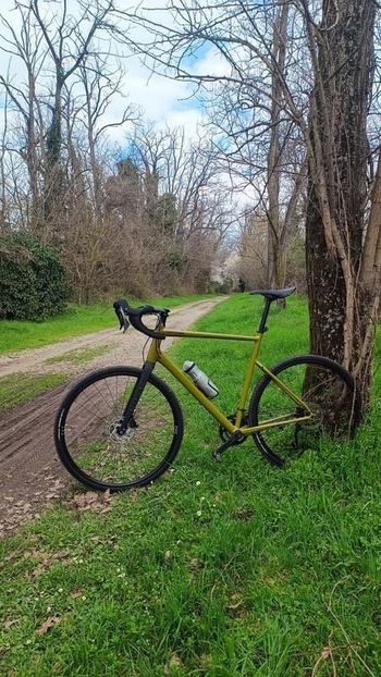 Used Cannondale Topstone 2 2023 2023 Road & Gravel, Green — image 11 of 26