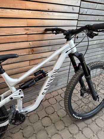 Brugt Canyon Torque 6 2025 2025 Mountainbike — billede 13 af 13