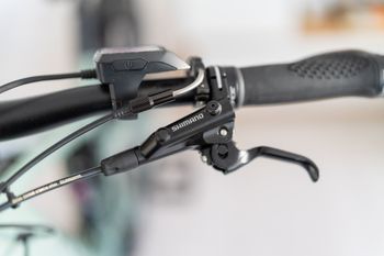 Used Focus Thron SRAM GX 2021 Mountainbike, Green — image 10 of 38