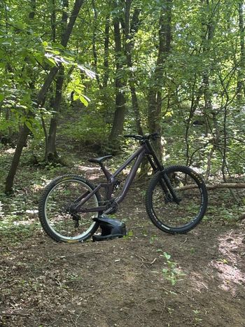 Used Rose Scrub DC 2 2024 2024 Mountainbike, Purple, 27.5 — image 2 of 7