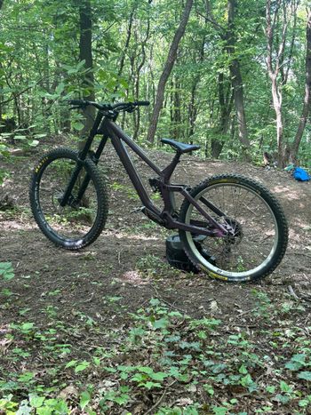 Used Rose Scrub DC 2 2024 2024 Mountainbike, Purple, 27.5 — image 3 of 7