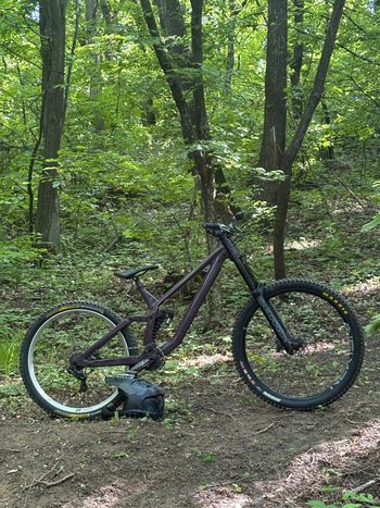 Gebrauchtes Rose Scrub DC 2 2024 2024 MTB