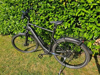 Używany Pegasus Premio EVO 10 Lite Diamond 2023 2023 Urban & Touring