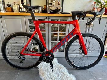 Brugt Giant Propel Avanced Disc 2 2023 Road & Gravel