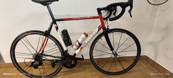 Used SCAPIN Custom Campagnolo Chorus 2003 Road & Gravel