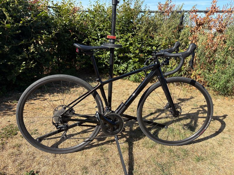 Used Cannondale Synapse Carbon 3 L 2023 2023 Road & Gravel