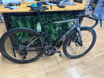 Used Seka Custom Shimano Dura Ace Di2 2026 Road & Gravel
