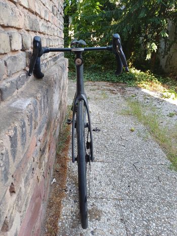 Used Rose Shave SRAM Rival eTap AXS 2026 Road & Gravel, Light Gray — image 4 of 4