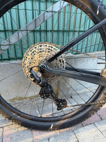 Brugt Trek Procaliber 9.5 2023 2023 Mountainbike — billede 2 af 7