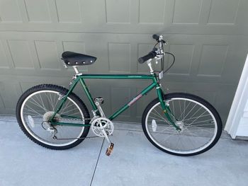 Used Raleigh 86/87 Raleigh Mountain Tour Elkhorn 1986 MTB