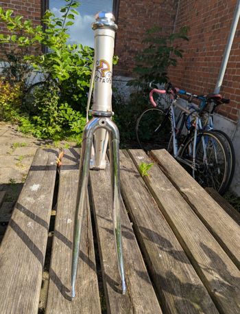 Used Battaglin Custom Frameset 1996 Road & Gravel, White — image 5 of 9