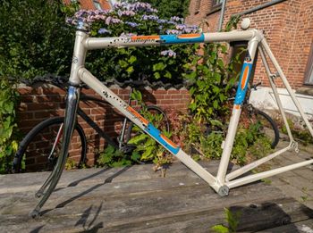 Used Battaglin Custom Frameset 1996 Road & Gravel, White — image 2 of 9