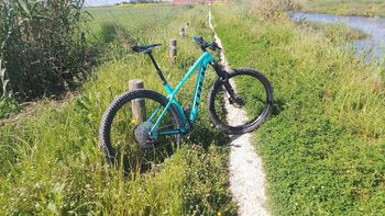Brugt Trek Roscoe Shimano Deore 2023 Mountainbike — billede 2 af 6
