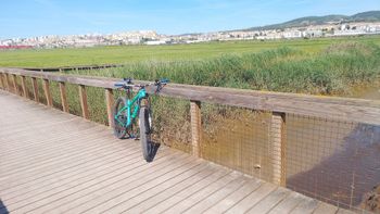 Brugt Trek Roscoe Shimano Deore 2023 Mountainbike — billede 4 af 6