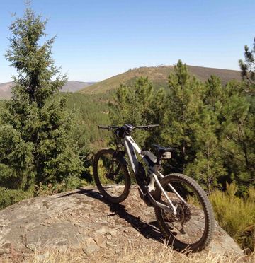 Tweedehands Orbea WILD M20 2024 2024 Mountainbike — afbeelding 6 van 11