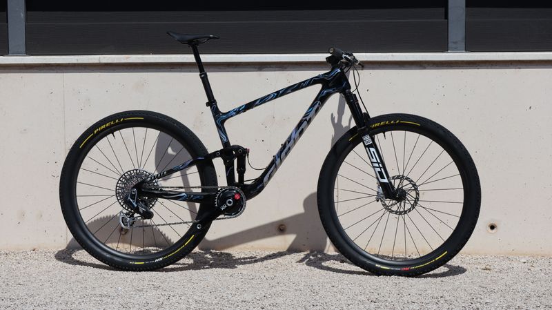 Gebrauchtes Giant Anthem Advanced 29 1 2025 2025 MTB