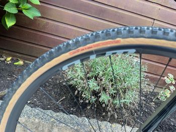 Fuji Jari 1.5 2022 2022 Road & Gravel usato, Verde — immagine 6 di 17