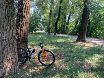 Použité Lee Cougan Crossfire 428 Race Eagle 2024 2024 Mountainbike — obrázek 3 z 4