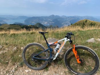 Gebrauchtes Lee Cougan Crossfire 428 Race Eagle 2024 2024 Mountainbike, Weiß, 29 — Bild 2 von 4