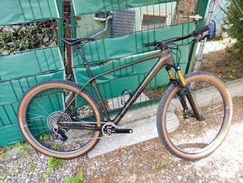 Used CUBE PHENIX C:68X, SLT 2025 2025 MTB