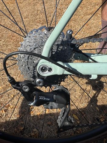 Gebrauchtes Canyon Endurace 7 2024 2024 Road & Gravel, Grün — Bild 5 von 9