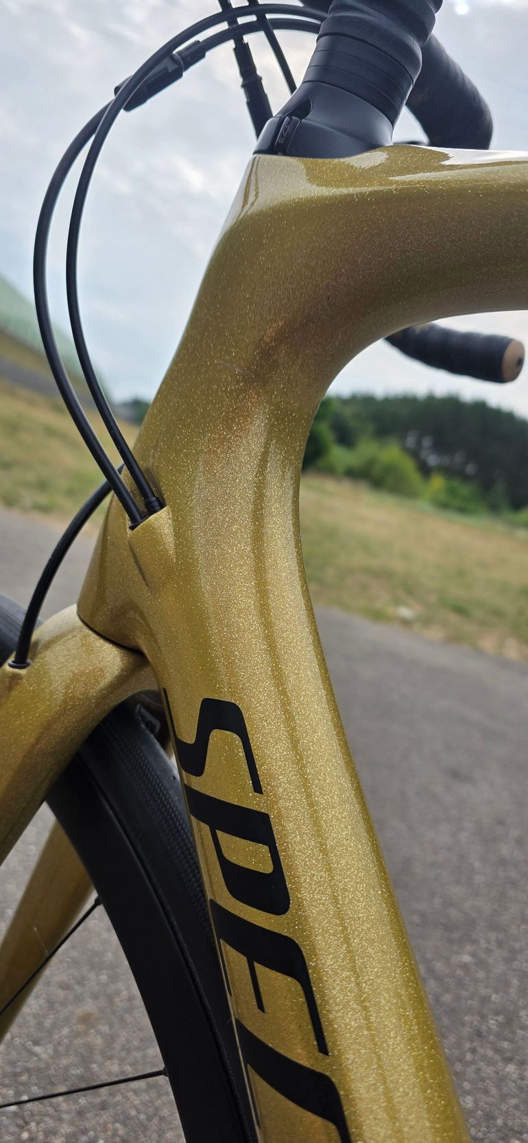 Brugt Specialized Roubaix Comp – Sagan Collection 2018 2018 Road & Gravel — billede 14 af 15