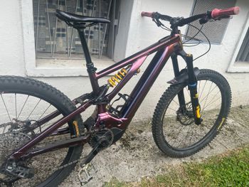 Brugt Specialized Turbo Levo Alloy Öhlins Coil LTD 2024 2024 MTB