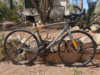 Gebrauchtes Wilier GTR Team - SHIMANO 105 R7020 11s 2024 2024 Road & Gravel