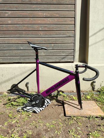 Poloandbike Custom Frameset 2018 Road & Gravel usato