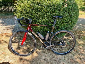 Cannondale SuperSix EVO Hi-Mod 1 Tinted Red 2024 Road & Gravel usato