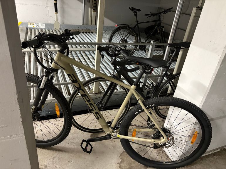 Axess DEBRIS 2025 2025 Mountainbike d'occasion — image 4 sur 4