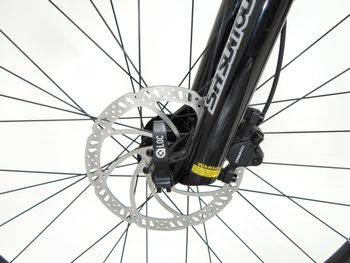 Gebrauchtes R RAYMON FullRay 130E 5.0 2022 2022 Mountainbike, Hellgrau, 29 — Bild 11 von 14