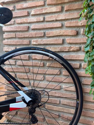 Used Orbea ORCA M30 2019 2019 Road & Gravel, White — image 14 of 20