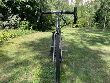 Used Schindelhauer Wilhelm single speed 2023 2023 Urban, Light Gray — image 3 of 9