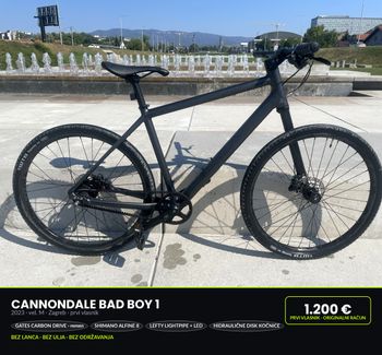 Gebrauchtes Cannondale Bad Boy 1 2021 2021 Urban, Schwarz — Bild 3 von 12
