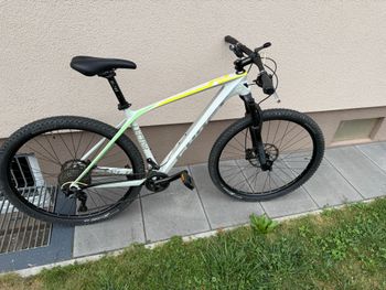 Brugt Ghost Lector 3.9 LC U 2019 2019 Mountainbike — billede 3 af 12