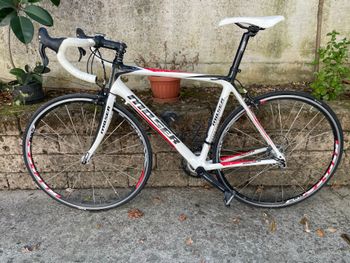 Used Moser Custom Campagnolo Veloce 2012 Road & Gravel, White — image 1 of 15