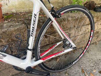 Used Moser Custom Campagnolo Veloce 2012 Road & Gravel, White — image 5 of 15