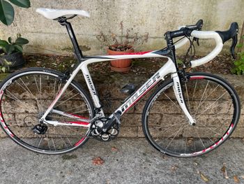Used Moser Custom Campagnolo Veloce 2012 Road & Gravel, White — image 7 of 15