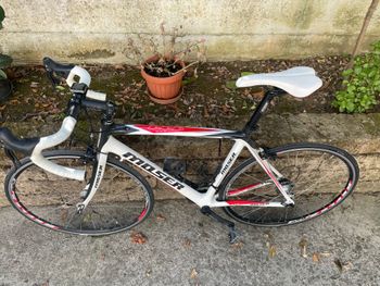 Used Moser Custom Campagnolo Veloce 2012 Road & Gravel, White — image 2 of 15