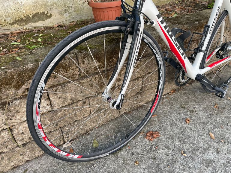 Used Moser Custom Campagnolo Veloce 2012 Road & Gravel, White — image 6 of 15