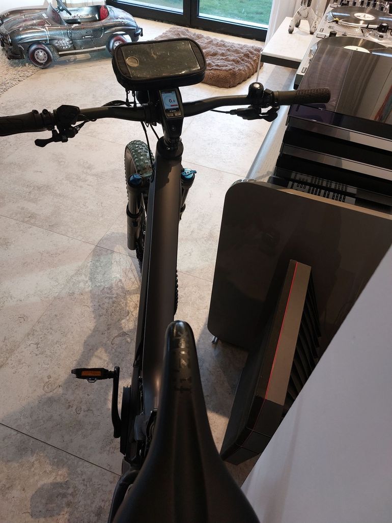 Brugt Riese & Müller Delite mountain rohloff 2023 2023 Mountainbike — billede 8 af 10