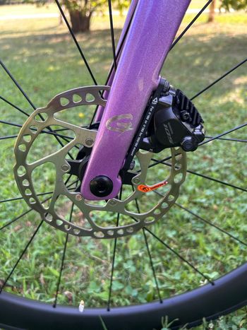 GUSTO COBRA EVO DB SPORT TE 2025 Road & Gravel d'occasion — image 8 sur 11