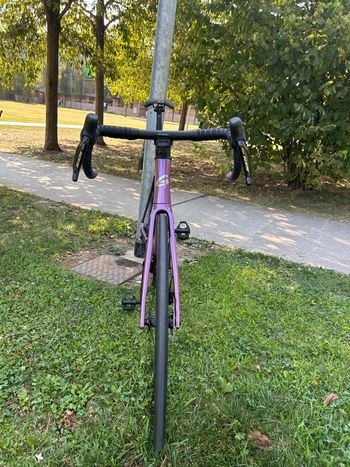 GUSTO COBRA EVO DB SPORT TE 2025 Road & Gravel d'occasion — image 6 sur 11