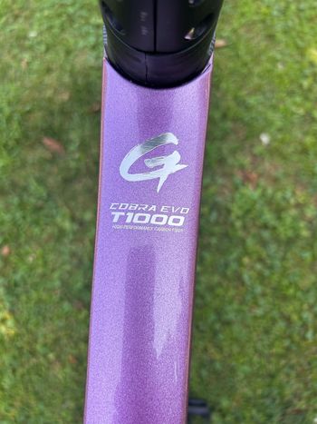 GUSTO COBRA EVO DB SPORT TE 2025 Road & Gravel d'occasion — image 4 sur 11
