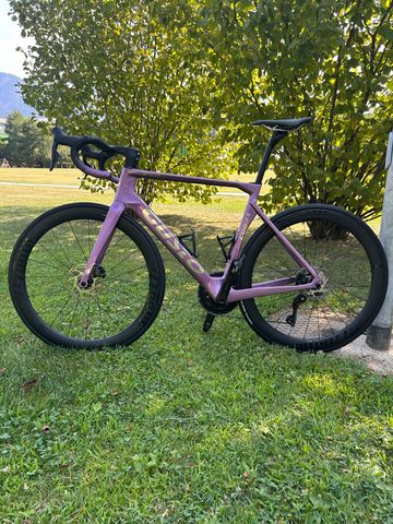 GUSTO COBRA EVO DB SPORT TE 2025 Road & Gravel d'occasion