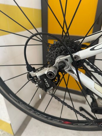 Used Orbea Custom SRAM X9 2010 Road & Gravel, White — image 4 of 6