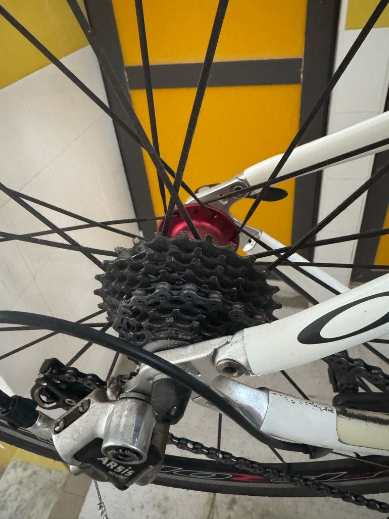Used Orbea Custom SRAM X9 2010 Road & Gravel, White — image 3 of 6