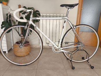 Brugt CBT Italia Custom Campagnolo Chorus 1980 Road & Gravel — billede 2 af 5