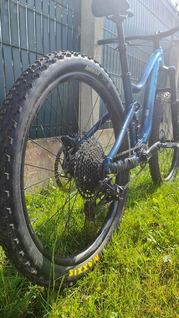 Tweedehands Liv Intrigue 2 2020 2020 Mountainbike — afbeelding 4 van 8